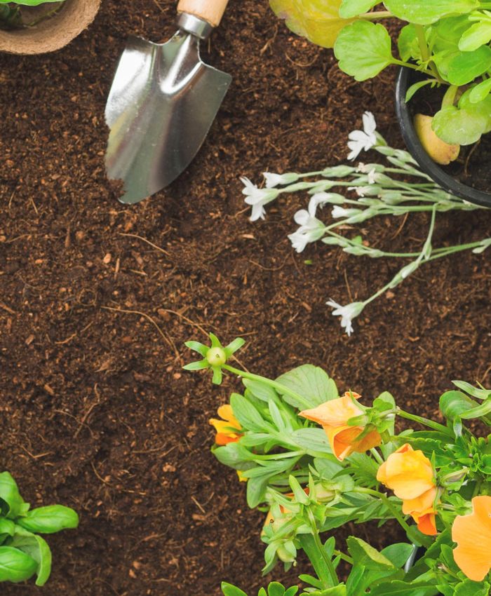 Почва и грунт для растений